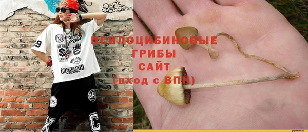 наркотики Бородино